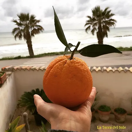 Terra Del Sole Appartement *