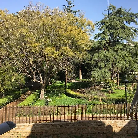 Terra Del Sole Daire *