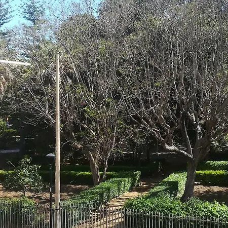 Terra Del Sole * Ribera