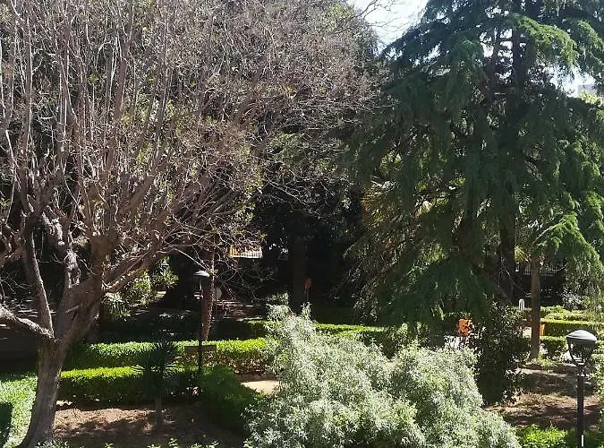 Terra Del Sole *